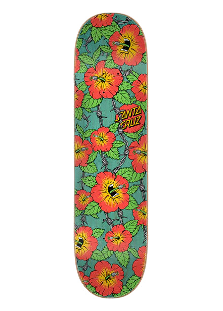 Santa Cruz - Tabla Screaming Hibiscus 7 Ply Birch 8.0x31.6 + lija de regalo