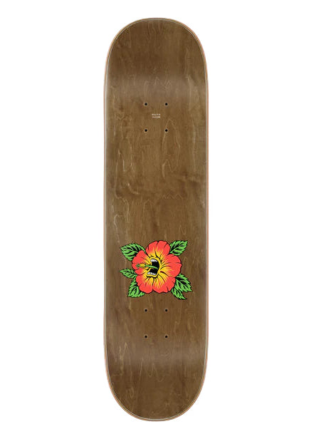Santa Cruz - Tabla Screaming Hibiscus 7 Ply Birch 8.0x31.6 + lija de regalo