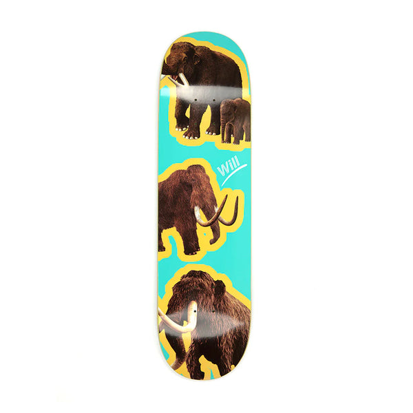 Alltimers - Tabla Species Will 8.3 + lija de regalo